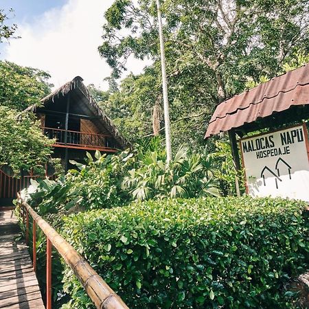 Готель Maloka Napue - Ecodestinos Puerto Narino Екстер'єр фото