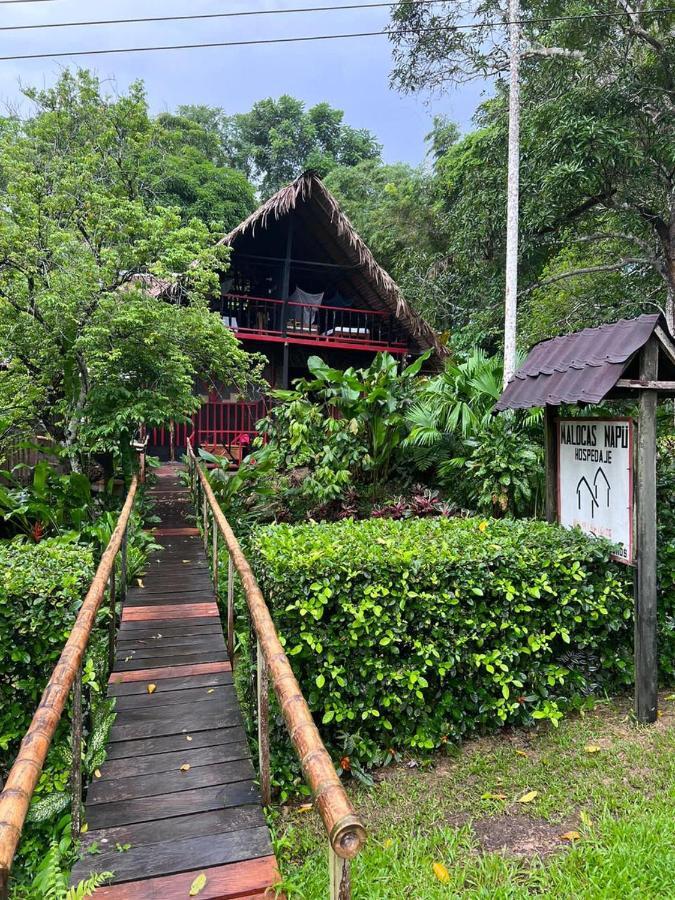 Готель Maloka Napue - Ecodestinos Puerto Narino Екстер'єр фото