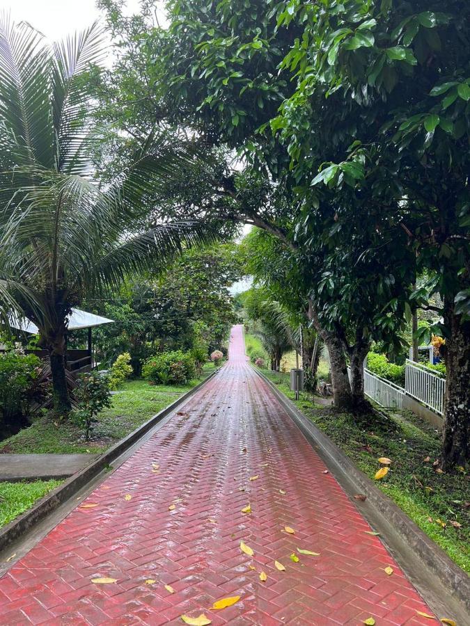 Готель Maloka Napue - Ecodestinos Puerto Narino Екстер'єр фото